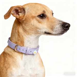 <span class=keywords><strong>Collar</strong></span> de Estilo Princesa con Diseño de Margaritas Pequeñas en PU, Diseño Ultrafino, Ultraligero y Lujoso para Perros y Gatos, Uso en Todas las Estaciones - Product Image 3