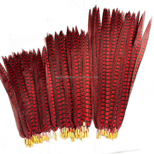 Plumas Artificiales de Faisán para Decoración y Disfraces de Carnaval - Product Image 3