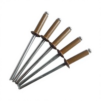 Vente en gros, produit phare : Vis d'ancrage pour béton, rivets aveugles colorés, chevilles murales industrielles, en aluminium et acier inoxydable de haute qualité