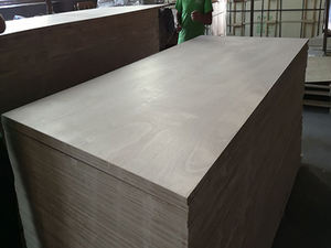 Prix bon marché direct d'usine 18mm panneau marin en bois de style européen panneau stratifié de <span class=keywords><strong>contreplaqué</strong></span> - Product Image 5