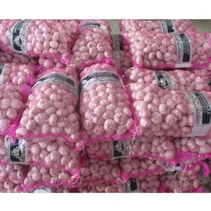 Fresh Garlic Normal White Bawang Putih Kating Packed By 20kg Mesh Bag To Export From China GAP Garlic Supplier