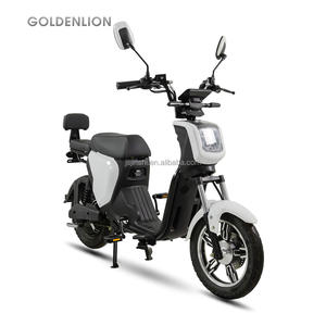 Vendita calda per <span class=keywords><strong>adulti</strong></span> moto elettrica <span class=keywords><strong>2020</strong></span> bici elettrica 1000W - Product Image 2
