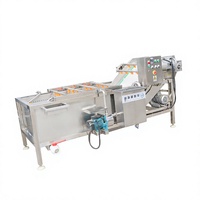 Automatische gemberwas- en schilmachine, machine voor het wassen van wortels/tomaten/aardappelen/fruit