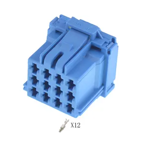 12-Pins Vrouwelijke Auto Elektrische Bedrading Auto Connector 6-968972-1