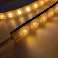 Lumière de lavage LED Flexible, blanc chaud, blanc froid, éclairage de façade douce, dc 24v, lavage mural facile à plier, lumière LED pour projet
