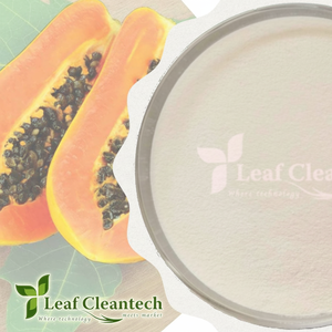 Fabricante de enzimas en polvo de papaína pura de alta calidad para Alimentos y Nutrición al por mayor en Bangalore Karnataka India - Product Image 1