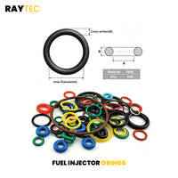 Raytec Auto Parts New Auto Fuel Injector Rebuild Kits for Tiida Versa March 1.4/1.6L FBY1160 16600-ED000 16600ED01A