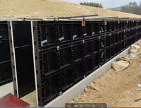 Songmao Réutilisation d'usine 60 à 100 fois Coffrage en plastique PP PVC Panneaux de coffrage en plastique pour la construction en béton