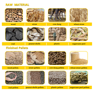 Vente directe de machines à granulés de bois <span class=keywords><strong>en</strong></span> <span class=keywords><strong>promotion</strong></span> du fabricant Machine à fabriquer des granulés - Product Image 6