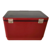 Balde de Gelo Metálico de Novo Design 30L/40L/50L, Caixa Térmica para Manter Frio, Ideal para Piqueniques