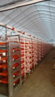Cages en batterie pour poules pondeuses en plastique avec courroies pour la production d'œufs