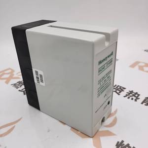 Contrôleur de Combustion et d'Allumage Shang Hai Ran Xian R4343D1009 pour Spot 20 (Arrêt de Production) - Product Image 2