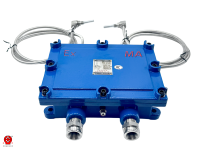 Sonda de Temperatura PT100 RTD para Áreas Peligrosas con Carcasa Antideflagrante Ex Db I Mb, para Atmósferas Explosivas de Metano, Clasificación IP66, Acero Fundido