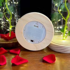 Rosa Eterna Sotto Cupola di Vetro con Luci LED, Alta Qualità, Ecologica, Regalo per San Valentino, Natale, Compleanno - Product Image 3