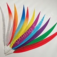 Plumes de queue de faisan argentées artificielles teintées de 30-140 cm, longues plumes de faisan, accessoire de carnaval, costumes, coiffure, décoration