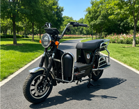 Scooter électrique pour adultes avec frein à disque avant et moyeu arrière et 4 amortisseurs arrière à ressorts, vélo électrique de ville pour le transport de charges