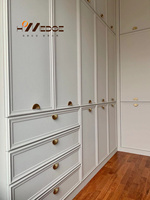Armoire moderne de luxe personnalisée Portes en MDF avec peinture et panneaux de forme spéciale pour hôtels et bureaux à domicile