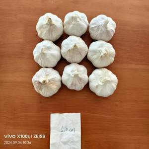 Alho Branco Natural Fresco da China Jin Xiang com 12 Meses de Validade para Uso em Temperos e Exportação Global - Product Image 4