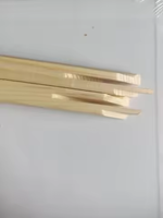 Chevalet d'exposition artistique en bois Fangtai FT-000 pour artistes (Noir/Blanc) - Chevalet de croquis à prix réduit