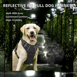 Manufacturer Luxury Pu Solid Front Clip <b>No</b> <b>Pull</b> Reflective Soft Padded Air Mesh for Dog <b>Harness</b> Set - Product Image 2