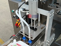 Machine de remplissage de sachets Doypack préfabriqués pour sauces, ketchup, mayonnaise, liquides et pâtes – Équipement d'emballage en sachet