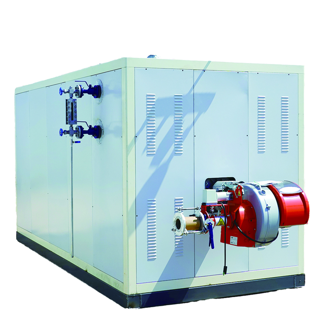 Factory Quality WNS 1T/H Gas Fired Steam Boiler Automatic Baltur Burner Industrial Heater for Sauna for High Efficiency Steam
