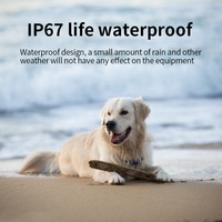 QZT étanche Pet Gps Tracker chien chat Animal Gps dispositif de suivi avec application mobile gratuite