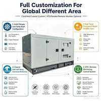 Groupe électrogène diesel 64 kW personnalisé, économique, à faible bruit, avec contrôle intelligent, idéal pour les zones chaudes, humides et montagneuses