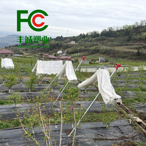 Cubierta <span class=keywords><strong>de</strong></span> plástico transparente para huerto para protección contra la lluvia <span class=keywords><strong>de</strong></span> cerezas Refugio <span class=keywords><strong>de</strong></span> invernadero duradero para uvas, <span class=keywords><strong>fresas</strong></span> y arándanos - Product Image 2