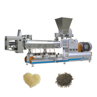 Ligne de production complète et entièrement automatique de riz instantané enrichi, extrudeuse bivis, usine de fabrication de moteurs, modèle Arrow
