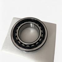 Roulement à rouleaux cylindriques de précision pour un fonctionnement fluide Nj1019W Nup220et Nu318em N2218w NF320