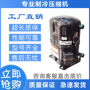 Compresseur de réfrigération HYZL TAG4543Y R134a 220V AC pour usage industriel - Product Image 5