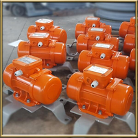 Horizontaler Rotationsvibrator-Sieb motor 380V 220V elektrischer Vibrations motor Preis für Beton mischa nlage