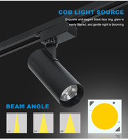 L'épi enfoncé par Dimmable de plafond commercial a mené l'éclairage de cheminement blanc noir réglable des lumières 30w