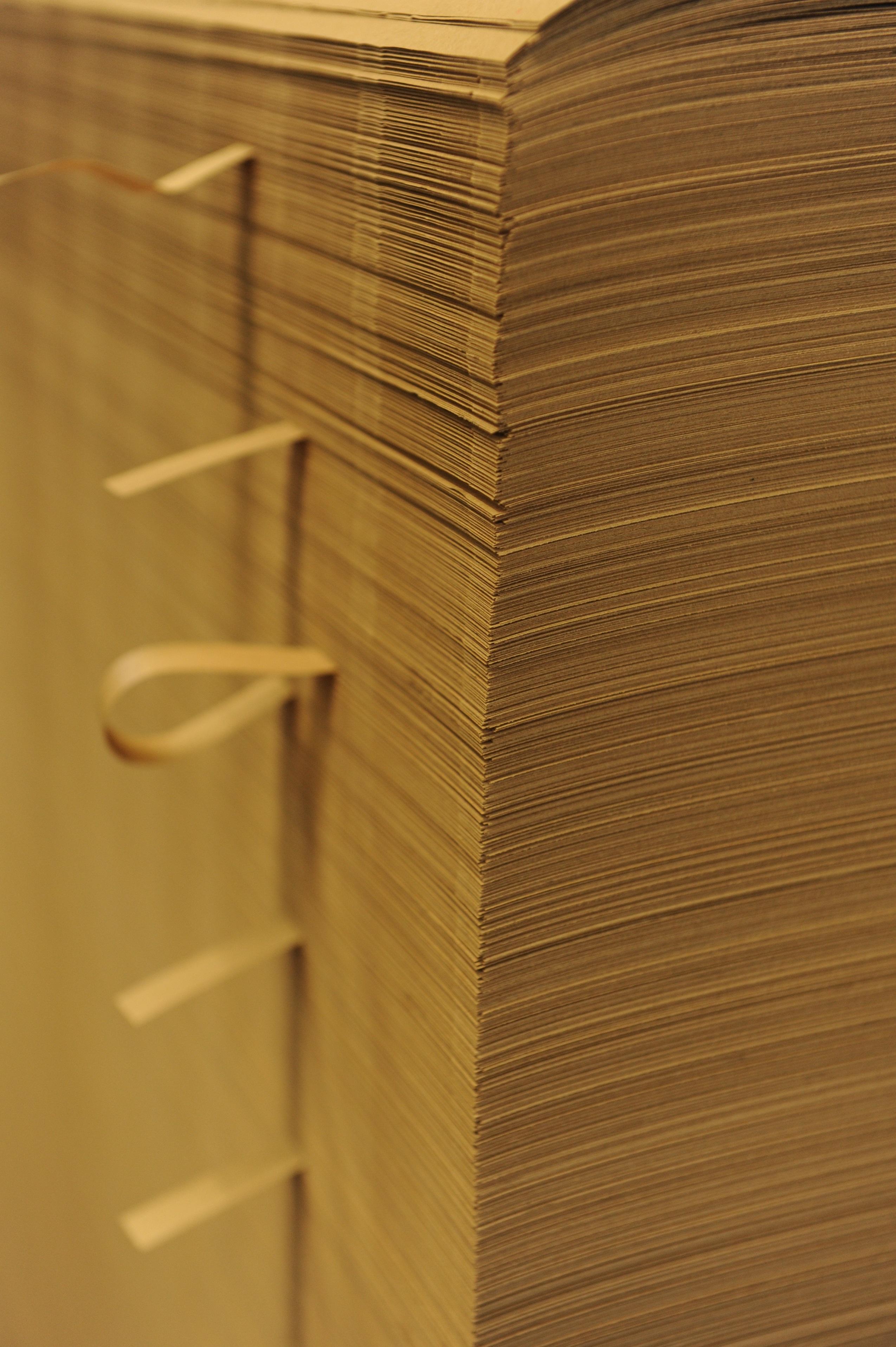 สีน้ำตาล