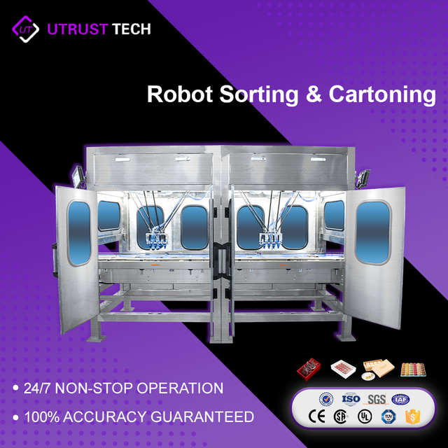 Durable Cold Chain & Fresh Produce Picking and Cartoning Robot