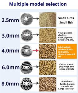 Pièces de rechange de haute qualité pour granulateur d'aliments pour animaux, moulin <span class=keywords><strong>à</strong></span> rouleaux, diverses matrices de moulin, machine <span class=keywords><strong>à</strong></span> granulés pour animaux, 120 kg/h - Product Image 3