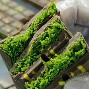 Chocolats artisanaux de luxe en gros, style Dubaï, saveurs variées, pistache de qualité supérieure, emballage cadeau - Product Image 3