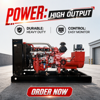 Genset Gas 250kw  Industrial Open Frame  Electric Start untuk Proyek Luar Ruangan