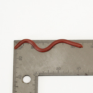 Señuelo de Pesca de Gusano de Tierra Rojo Biónico de Simulación, 20g/3cm, Gusano de Plástico, Cebo Suave - Product Image 4