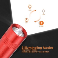Lampes de barbecue en plein air, vente en gros, Portable, Camping, Mini LED, Flash, lampe de poche ED