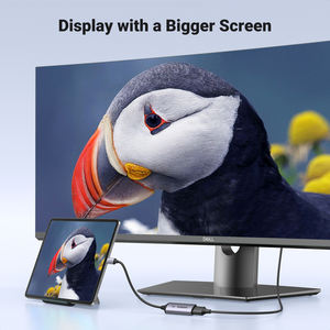 Adaptateur UGREEN USB C vers DisplayPort 1.4 8K pour <span class=keywords><strong>iPhone</strong></span> 15 Macbook Pro iPad USB Type C vers adaptateur DP1.4 8K Câble 32.4 Gbps 8K/60Hz - Product Image 4