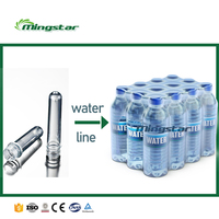 Chaîne de Production Entièrement Automatique pour l'Embouteillage et le Conditionnement d'Eau Potable en Bouteille à Petite Échelle