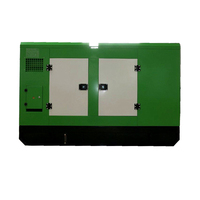 Puissance 3-100KW évaluée triphasée 400V-230V-12V d'alternateur diesel de Stamford de générateur de Silent1000 KVA de fréquence portative de 50Hz 60Hz