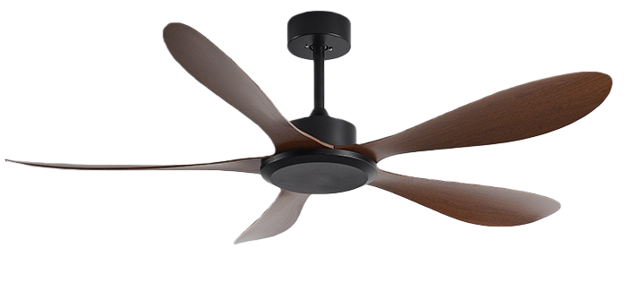 วอลนัทดำ