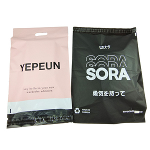 Bolsas de correo de polietileno de plástico Rosa respetuosas con el medio ambiente con estampado personalizado, bolsa de envío de mensajería para ropa interior, sujetador - Product Image 3