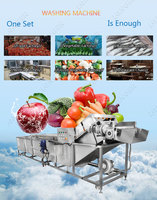 Commerciële Verwerking Machine Fruit En Groente Wassen Apparatuur Fabrikanten In India