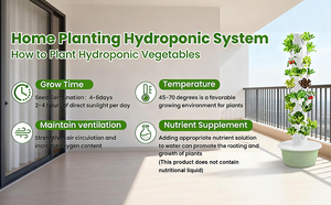 Système de tour hydroponique verticale à 7 niveaux pour la culture en <span class=keywords><strong>intérieur</strong></span> et en serre - Product Image 5