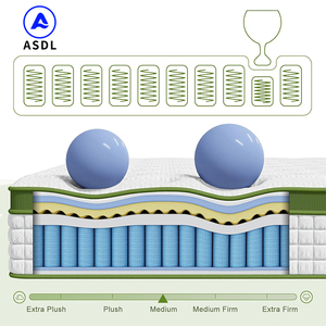 Sang Trọng Và Thoải Mái Khách Sạn Năm Sao Nệm Cao Su Thiên Nhiên Giấc Ngủ Tốt Bộ Nhớ Bọt Túi Mùa Xuân Nệm - Product Image 2