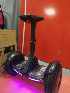Mini Pro 2, Patinete Eléctrico de Autoequilibrio de Dos Ruedas con Luces LED Inteligentes de 1600W, Hoverboard para Niños y Adultos - Product Image 1